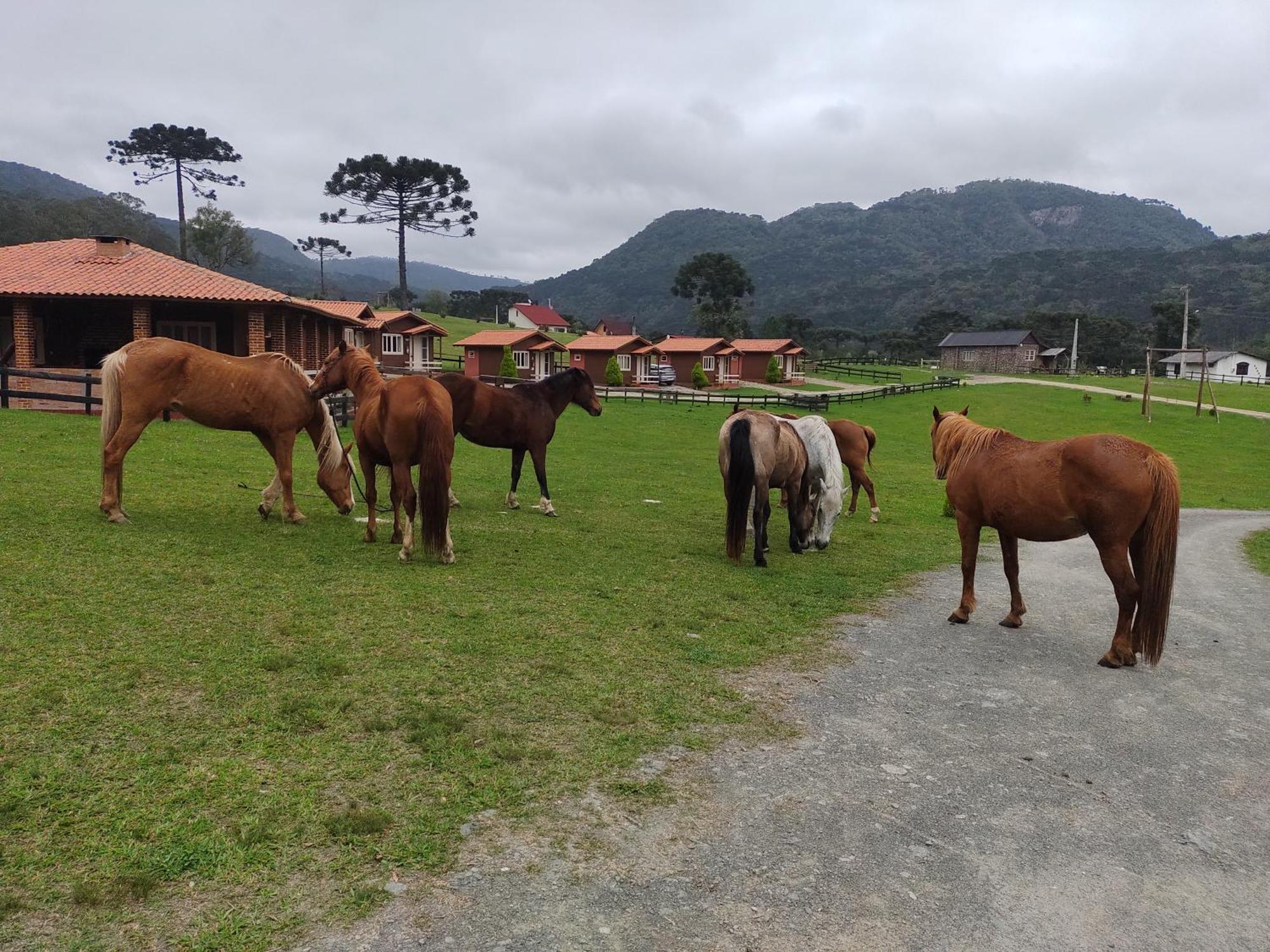 Sitio Rancho Crioulo Hotell Urubici Eksteriør bilde