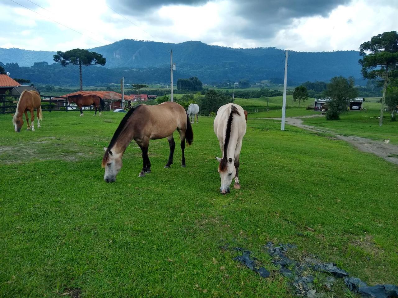Sitio Rancho Crioulo Hotell Urubici Eksteriør bilde